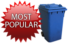 Quarterly Trash Bin Cleaning Service
